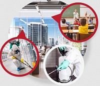 Pest Control Chatswood